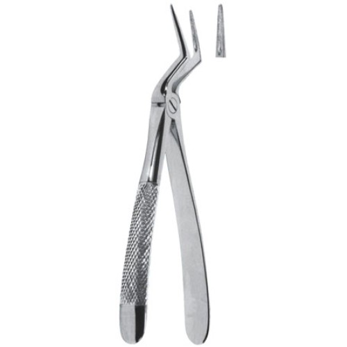 Tooth Extracting Forceps